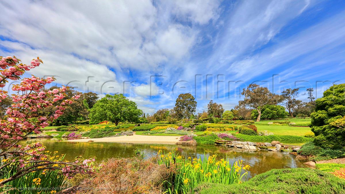 Peter Bellingham Photography Japanese Garden - Cowra